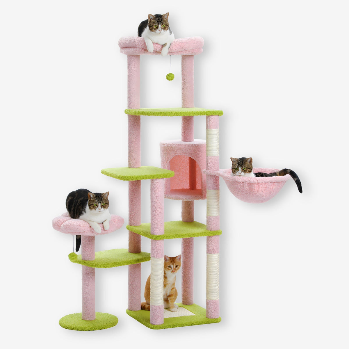 Arbre à Chat style fleur