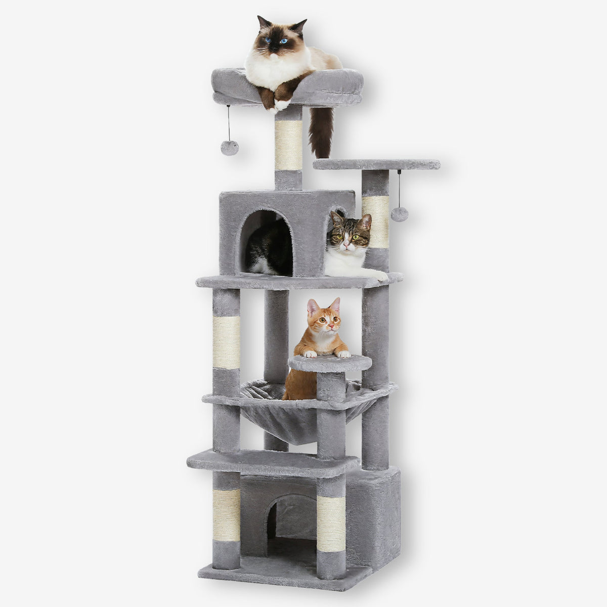 Arbre à Chat design tour