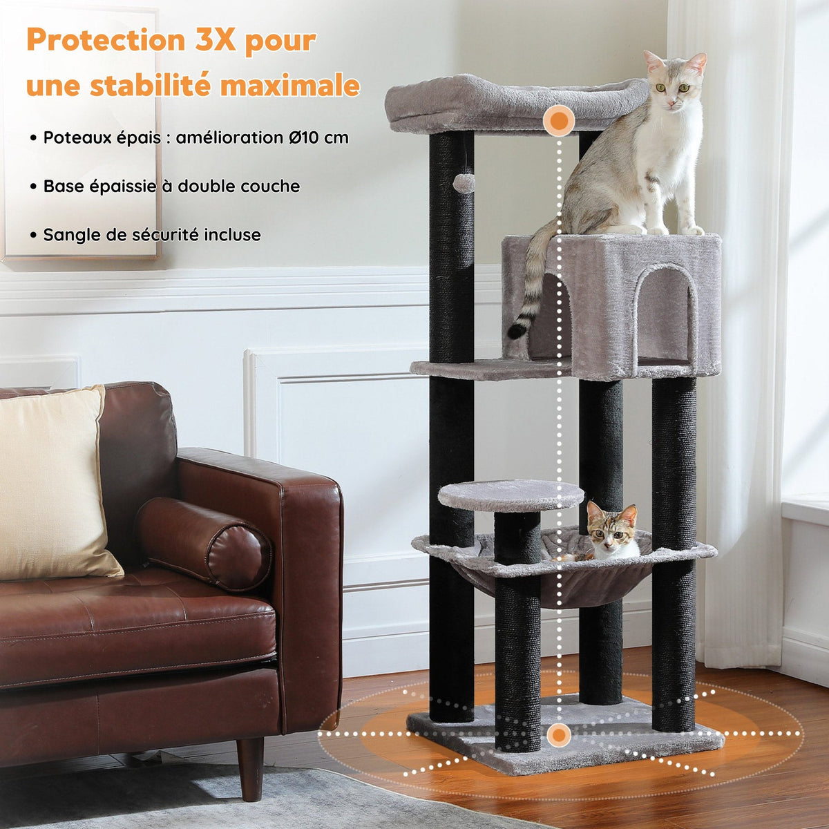 Arbre à Chat de taille moyenne gris