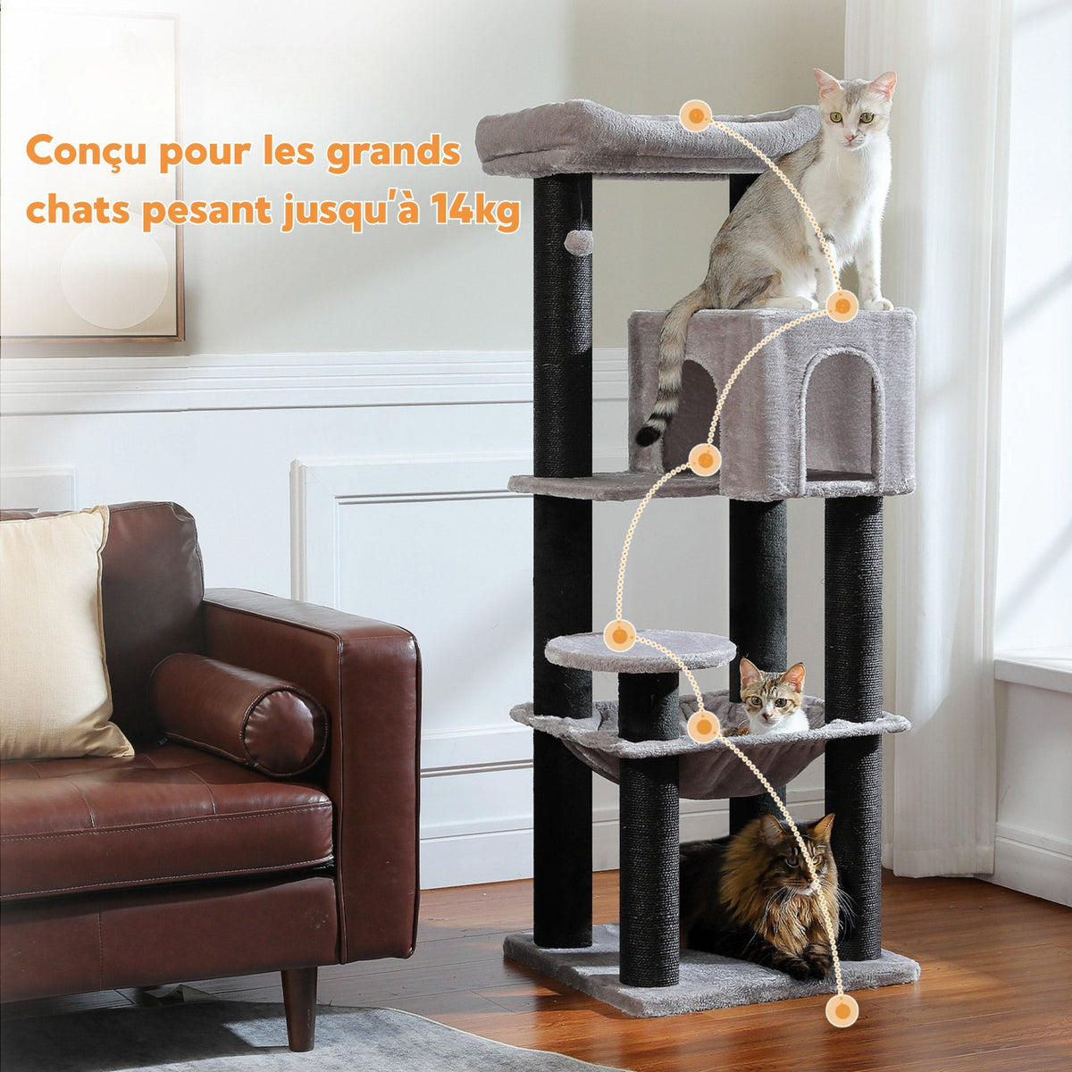 Arbre à Chat de taille moyenne gris