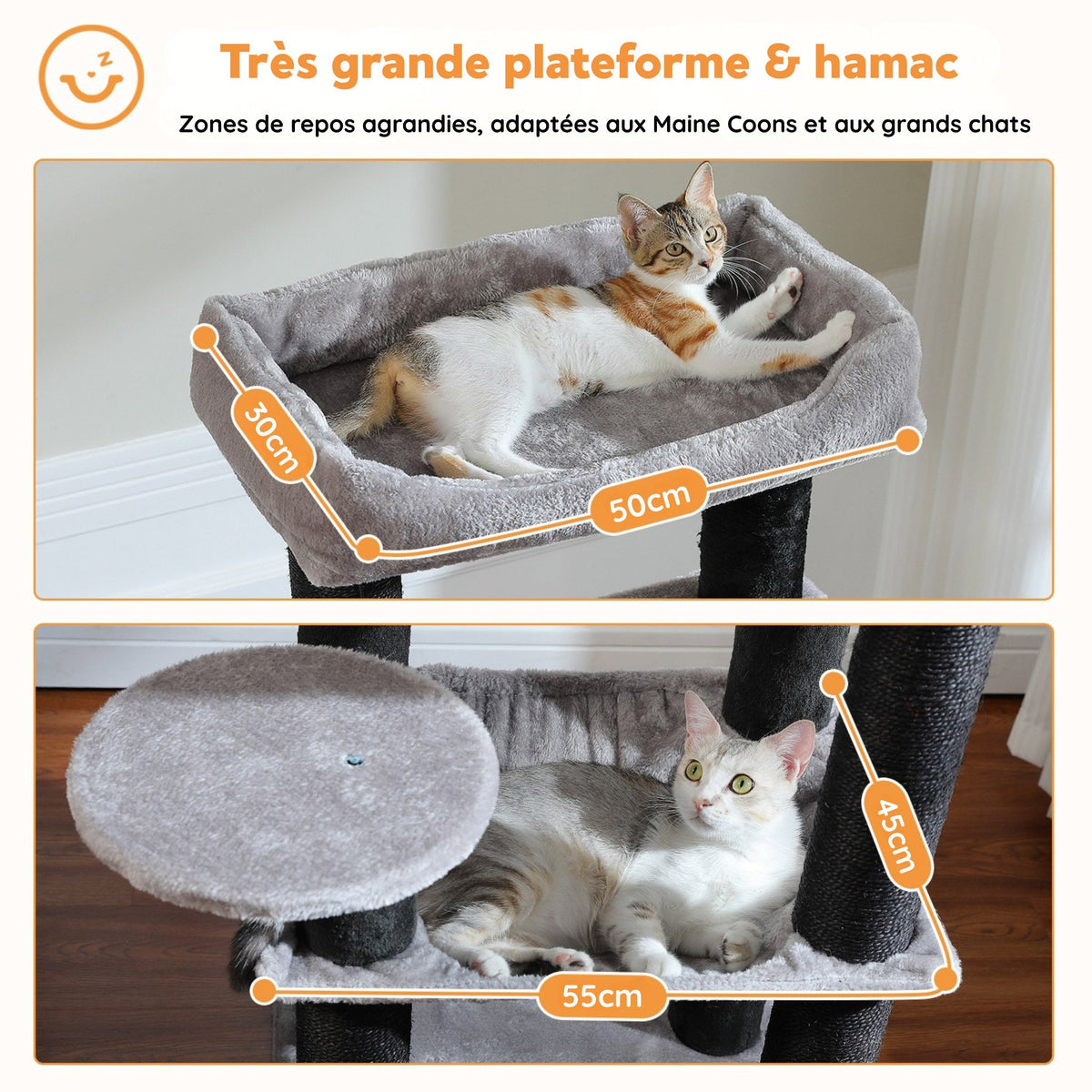 Arbre à Chat de taille moyenne gris