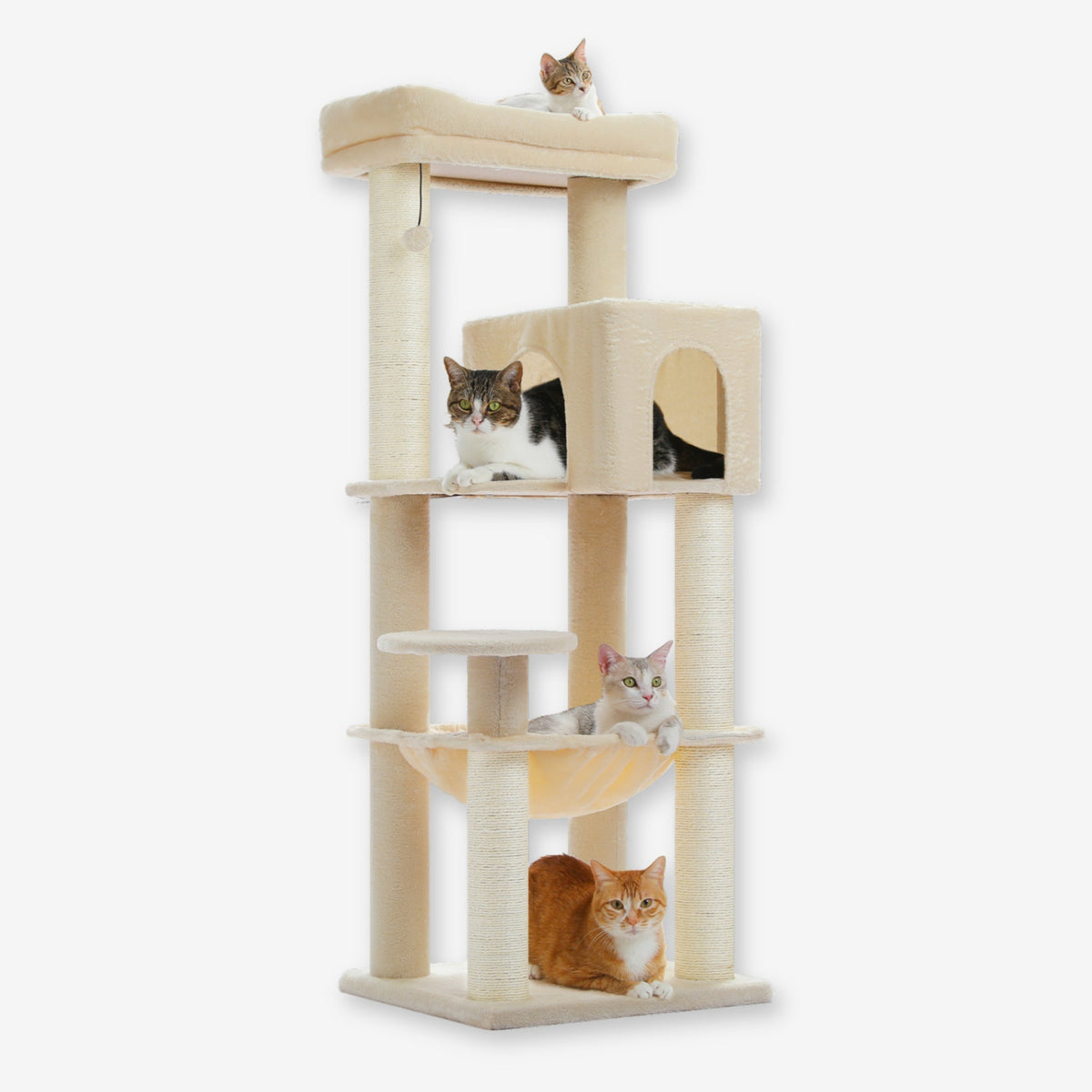 Arbre à Chat de taille moyenne gris