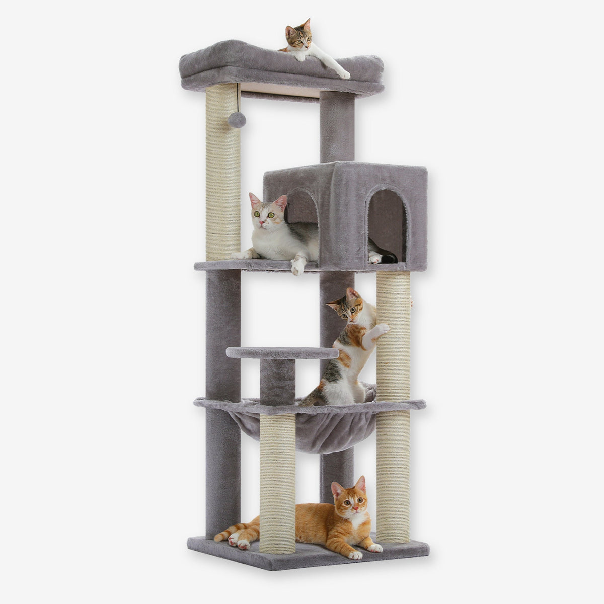 Arbre à Chat de taille moyenne gris