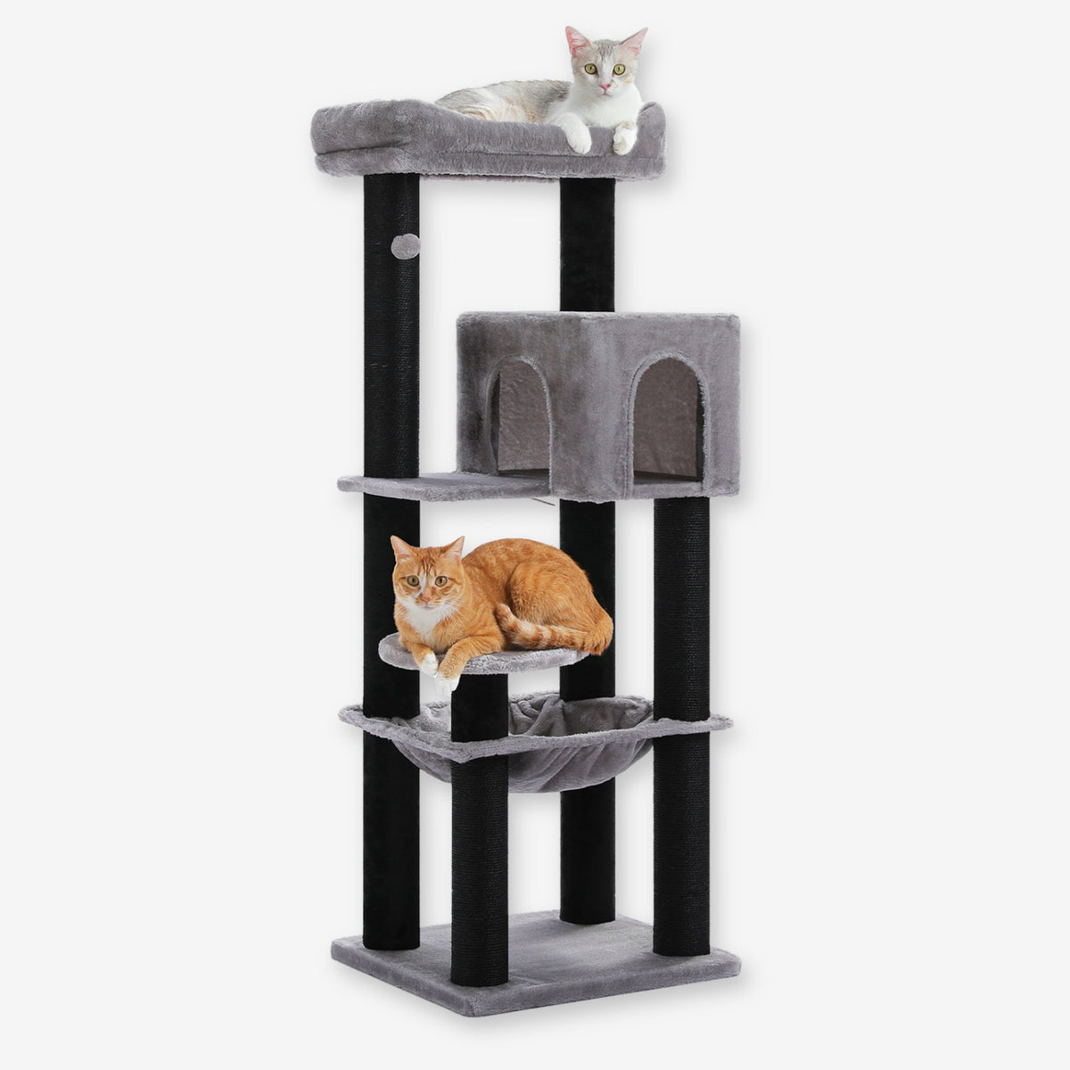 Arbre à Chat de taille moyenne gris