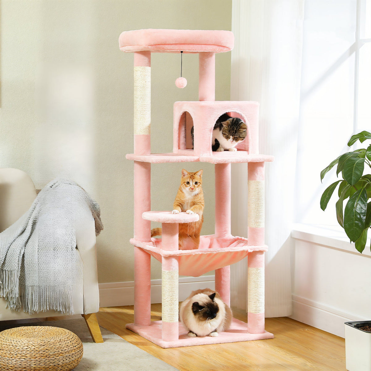 Arbre à Chat de taille moyenne rose