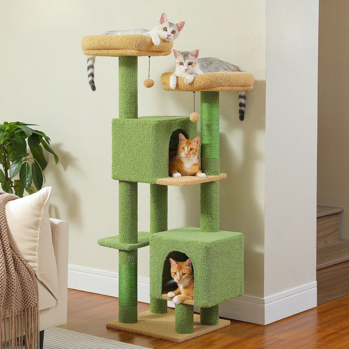 Arbre à Chat de grande taille vert