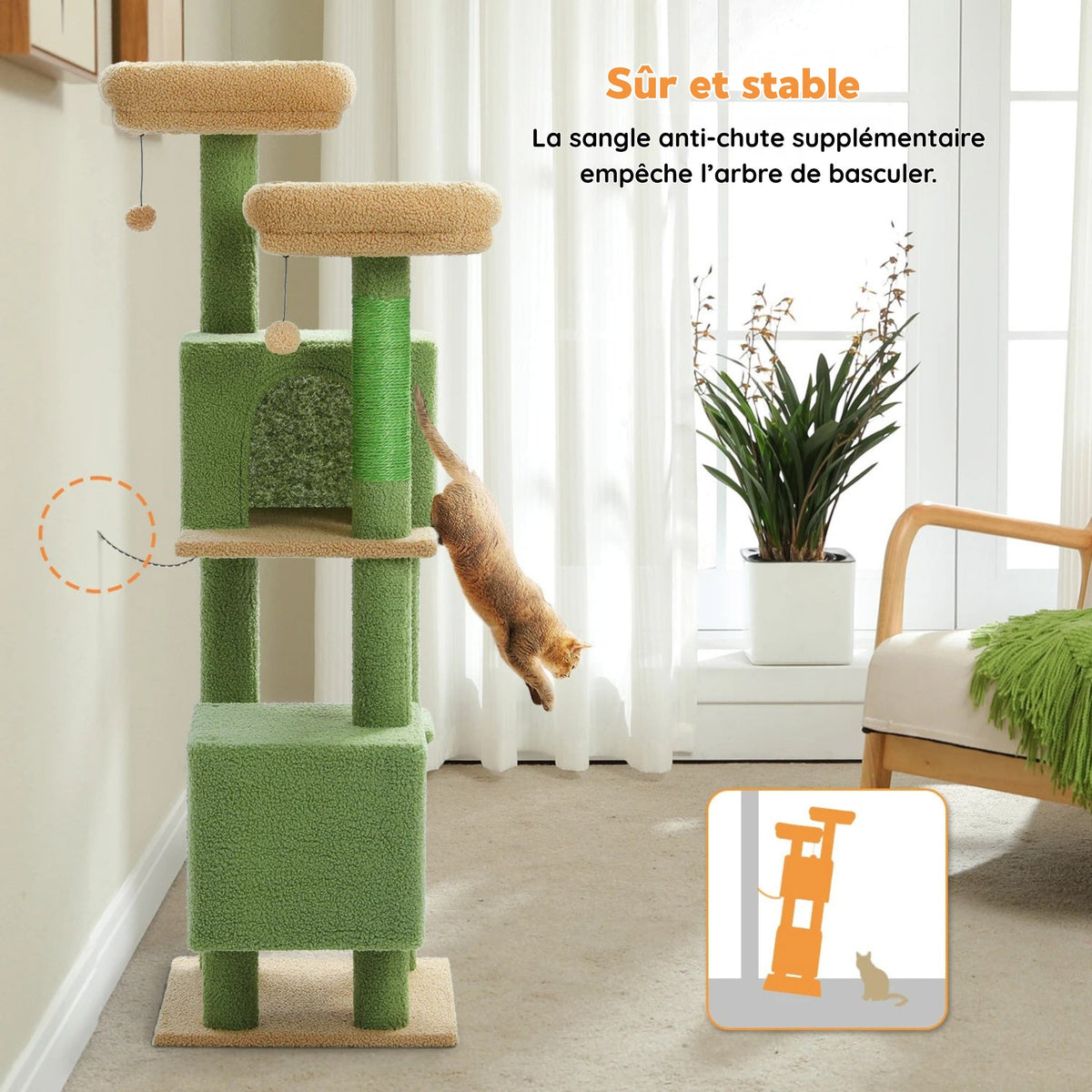 Arbre à Chat de grande taille vert