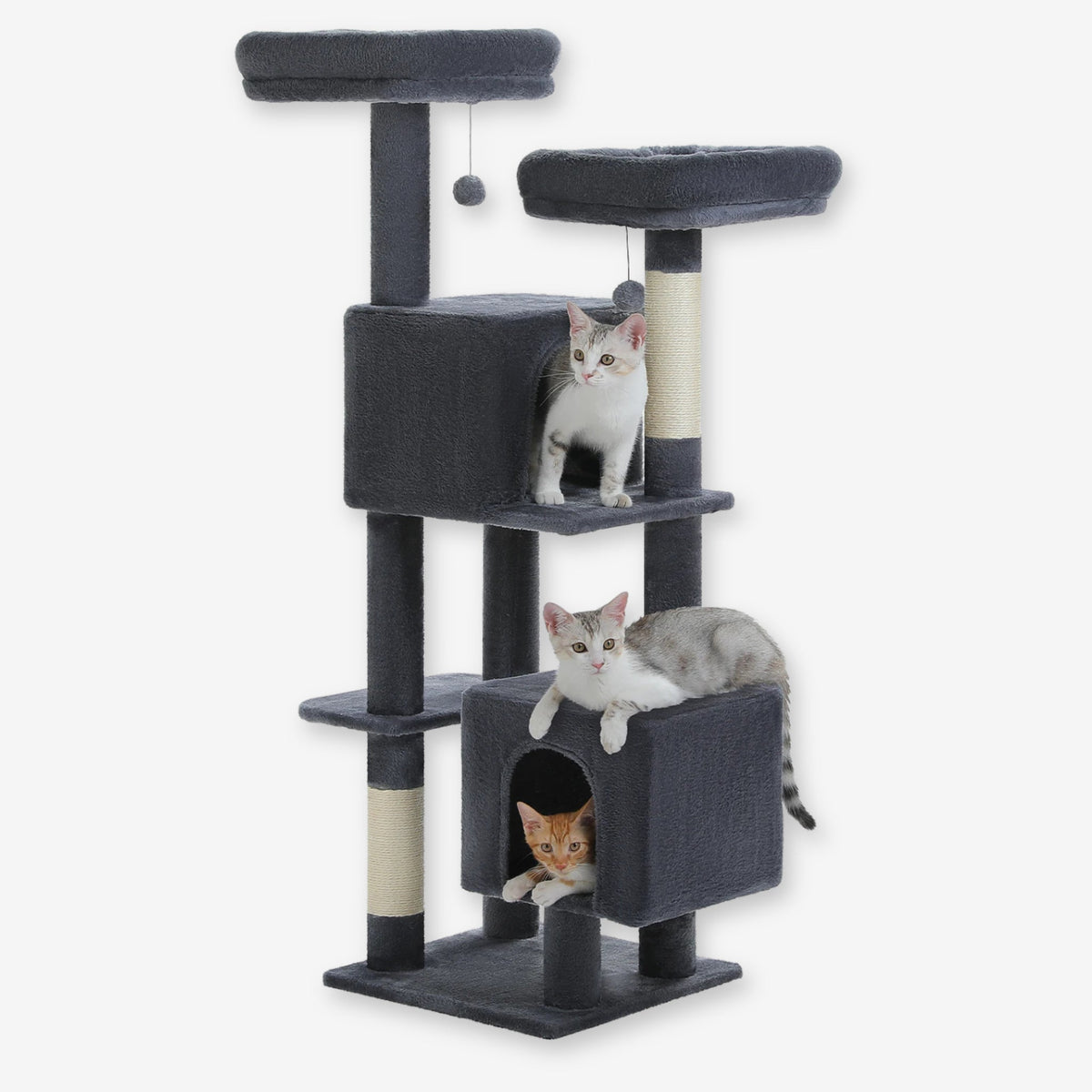 Arbre à Chat de grande taille vert