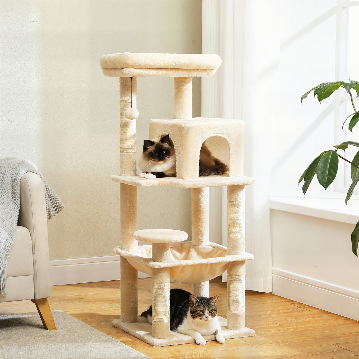 Arbre à chat grande taille avec Hamac