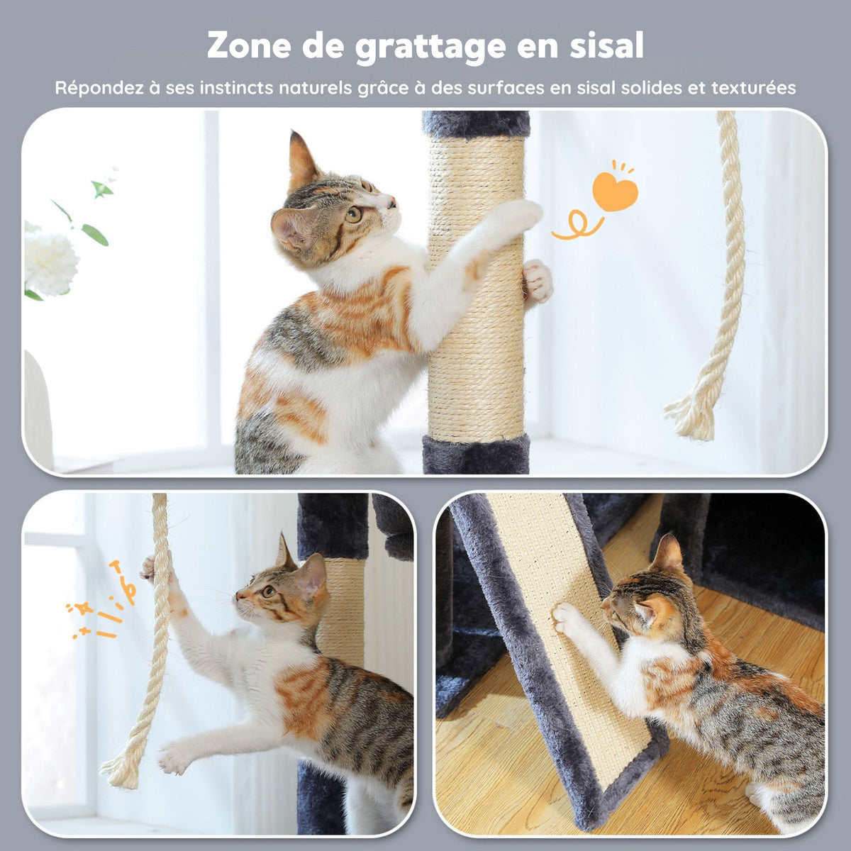 Arbre à chat d'angle grande taille