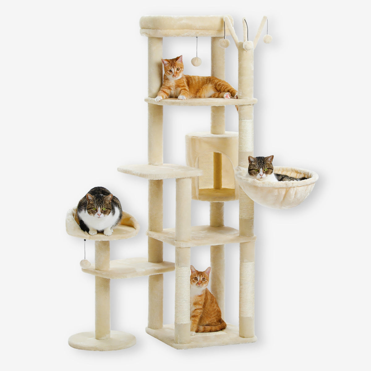 Arbre à Chat de grande taille XXl