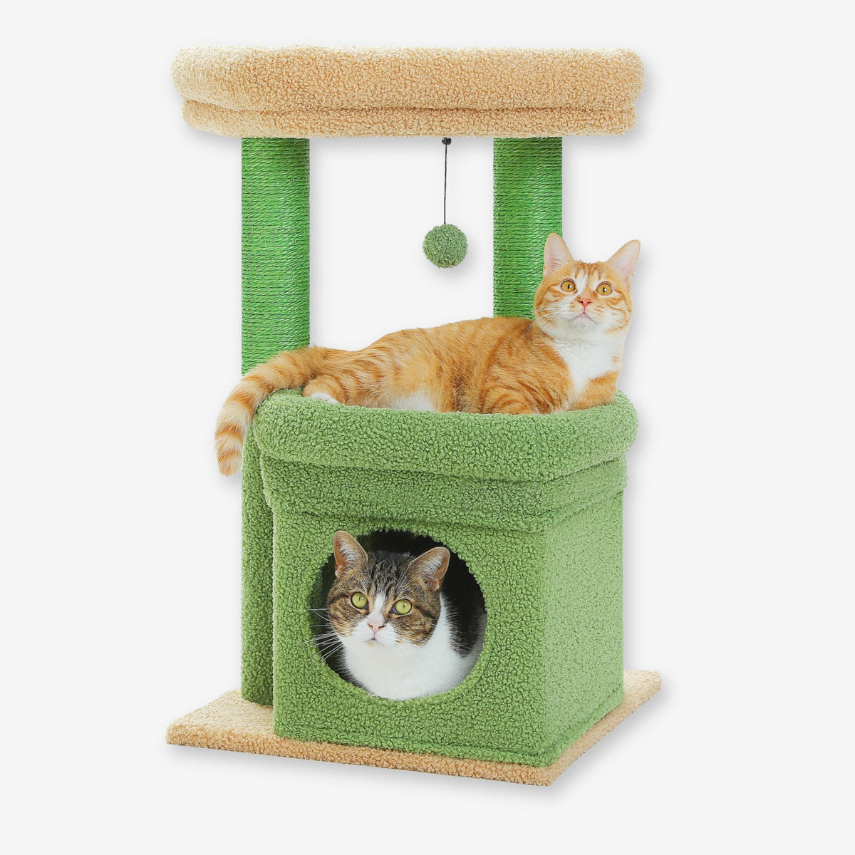 Arbre à Chat avec petite cabane