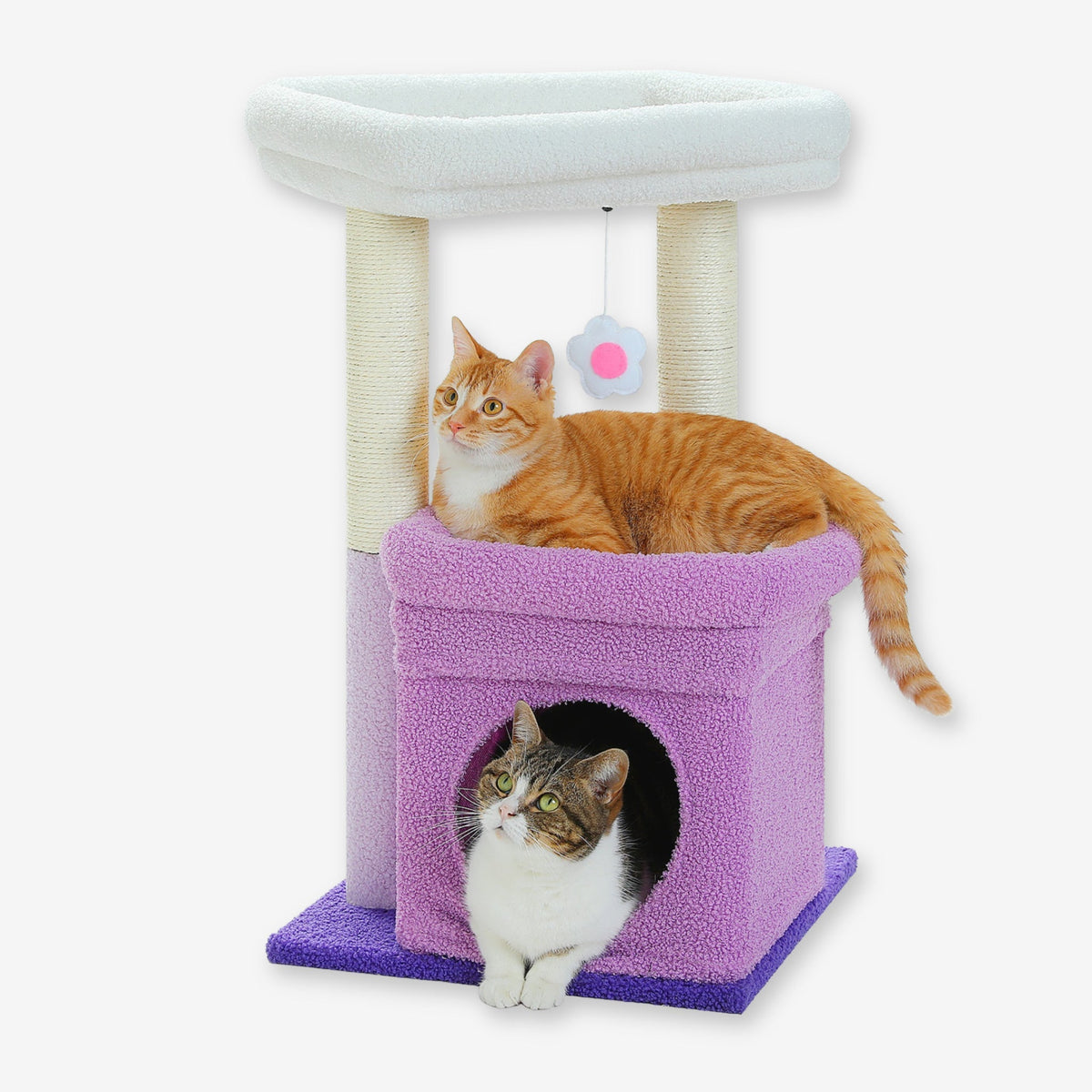 Arbre à Chat avec petite cabane