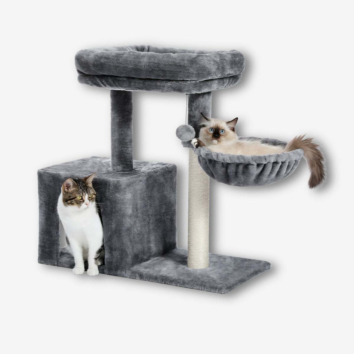 Arbre à Chat de petite taille avec hamac