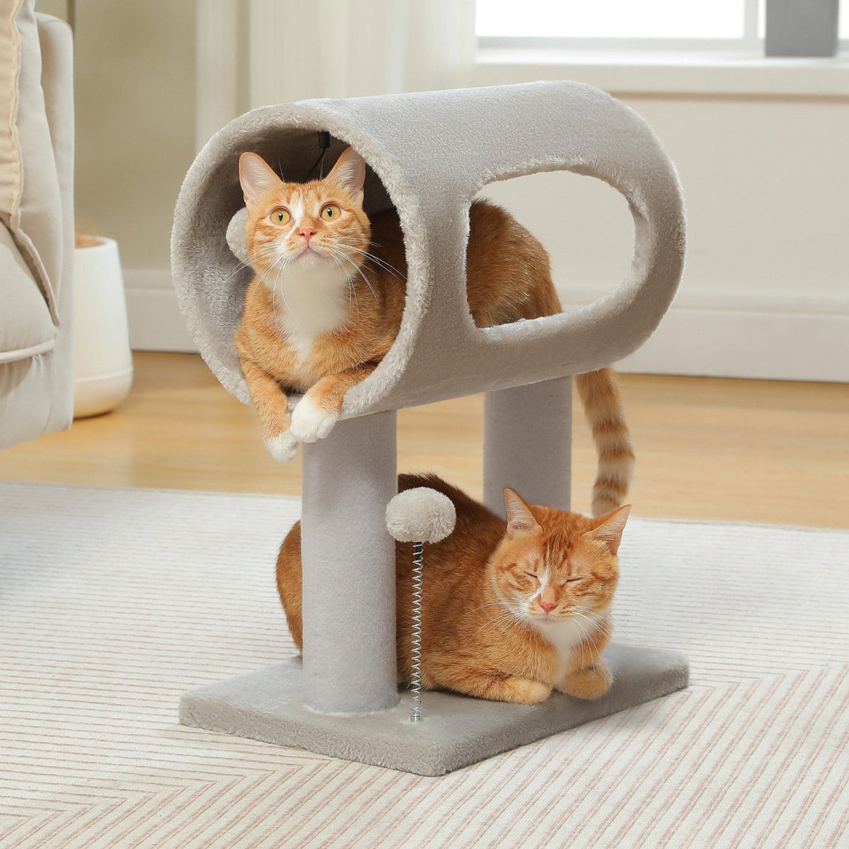 Arbre à Chat avec petite taille avec tunnel