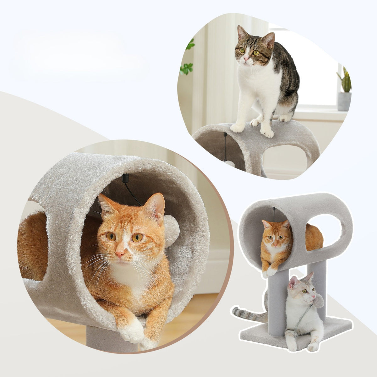 Arbre à Chat avec petite taille avec tunnel