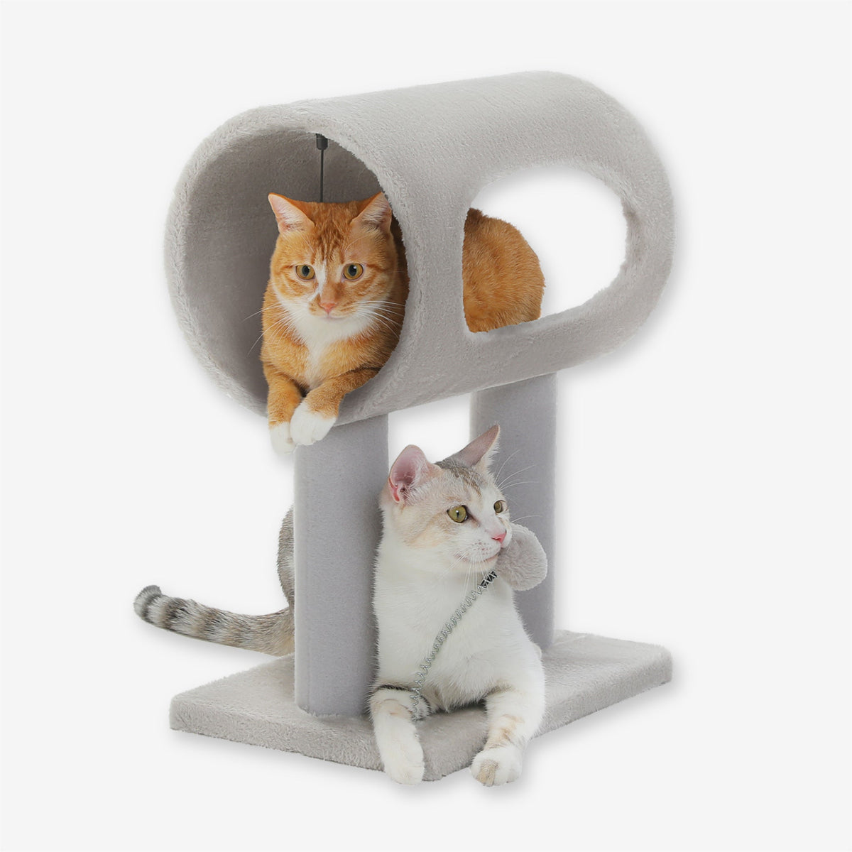 Arbre à Chat avec petite taille avec tunnel