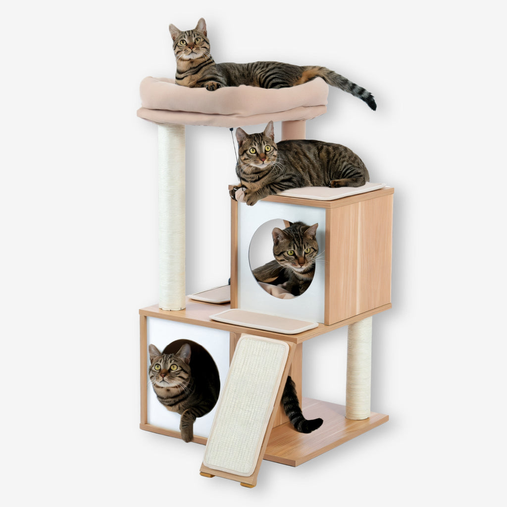 Arbre à chat petite taille en bois