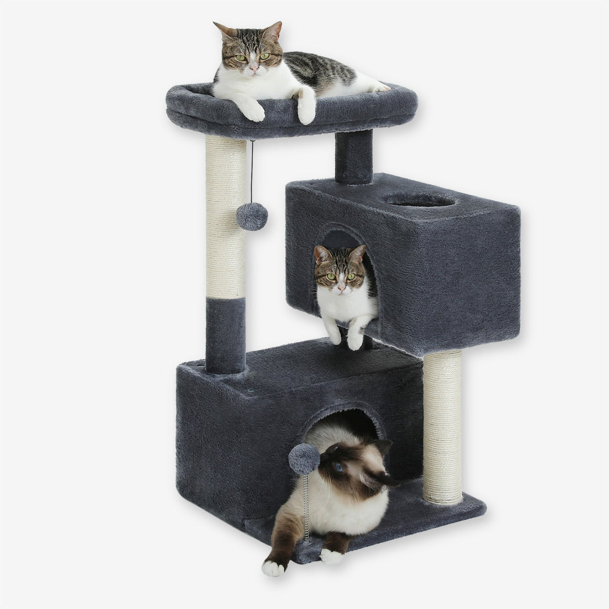 Arbre à Chat 3 étages