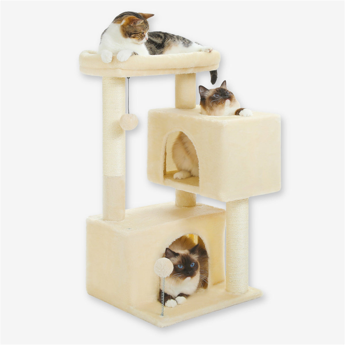 Arbre à Chat 3 étages