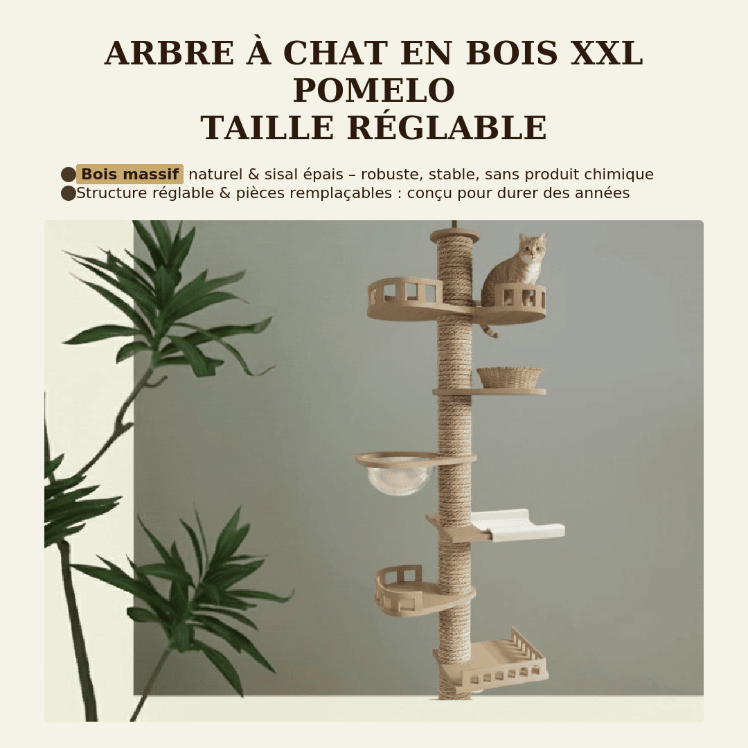 Arbre à chat en bois XXL - réglable