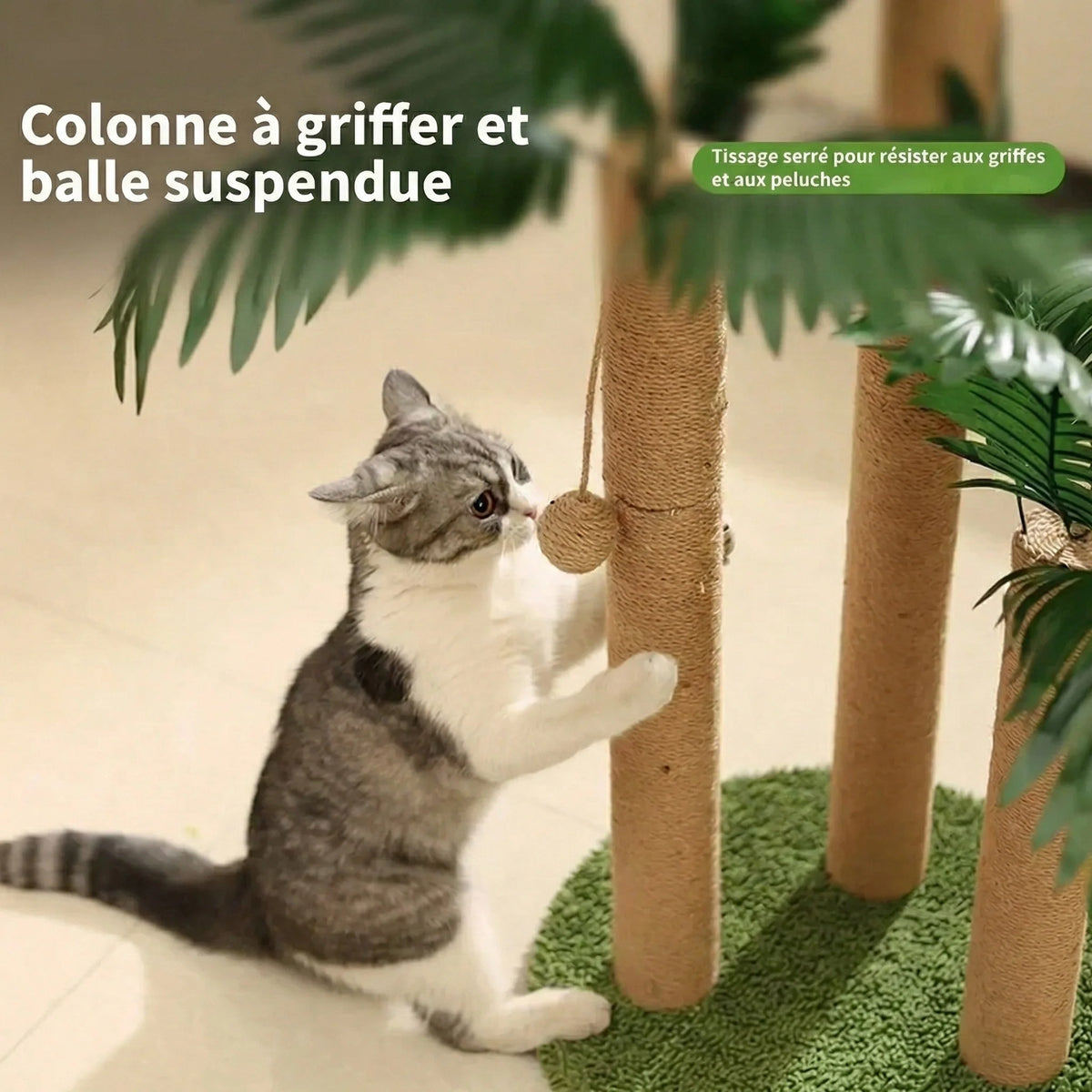 Griffoir Design - Lustriano milano