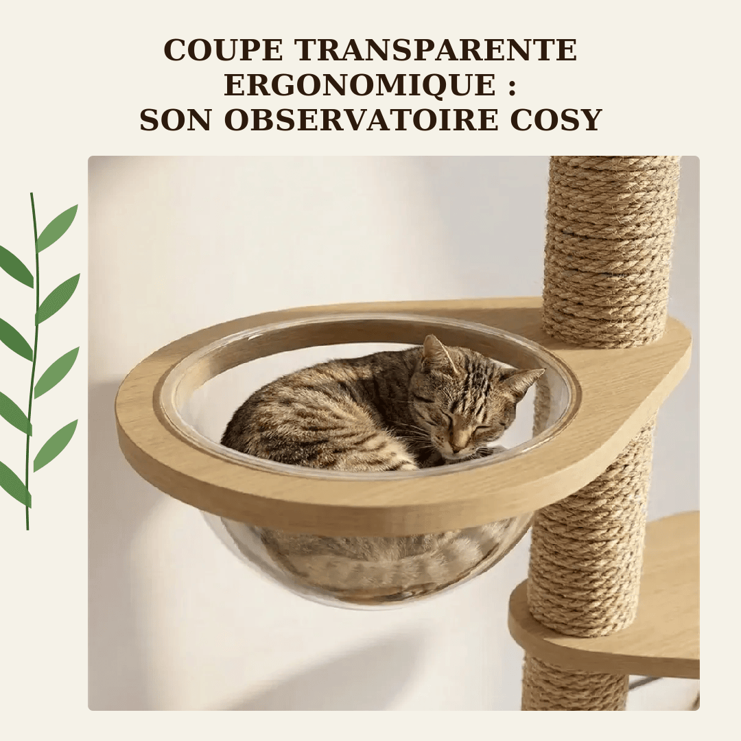 Arbre à chat en bois XXL - réglable