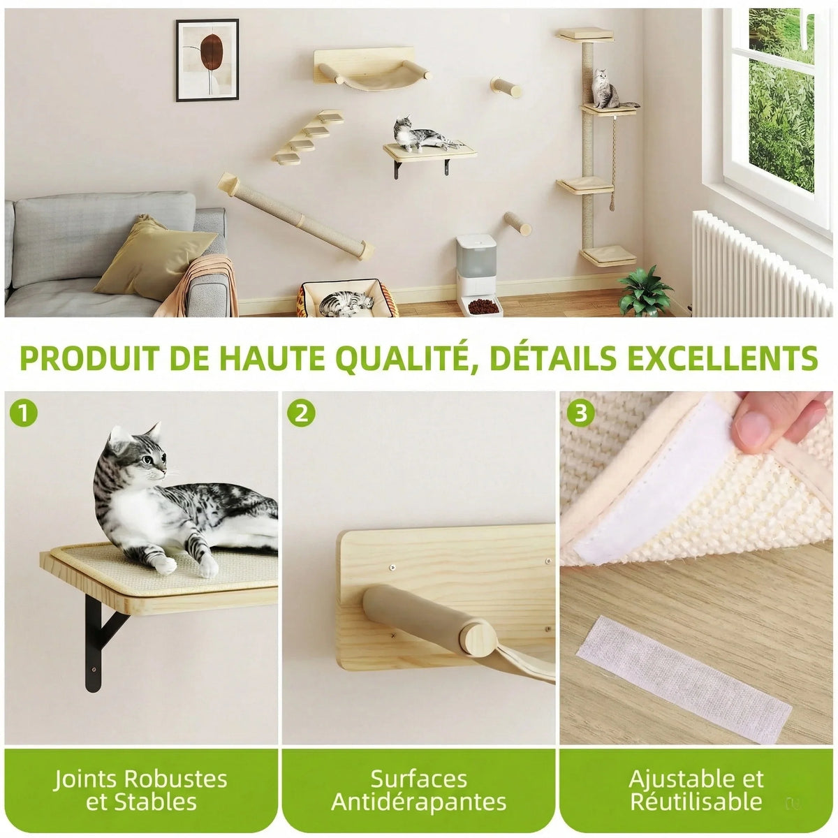 Arbre à chat - parcours mural style alpin