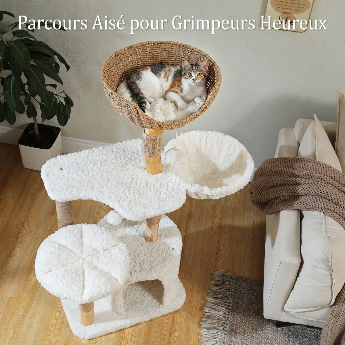 Arbre à chat - fleur & nid d'oiseau